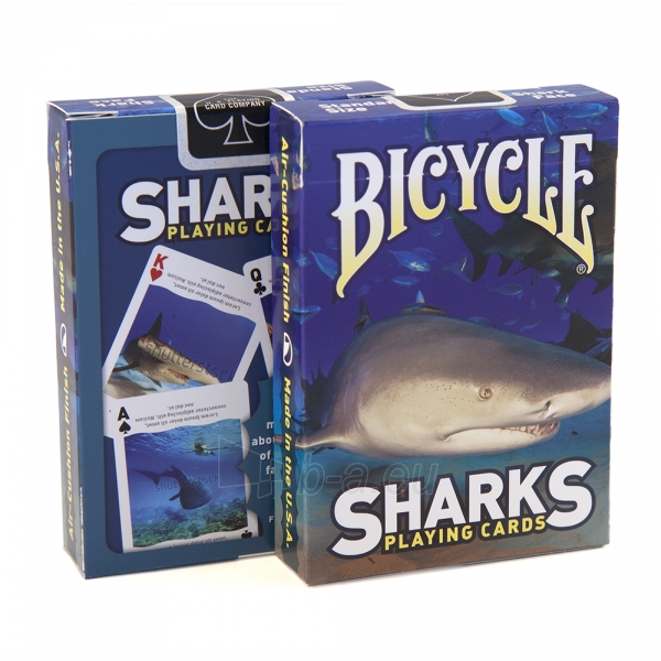 Bicycle Sharks kortos paveikslėlis 1 iš 9