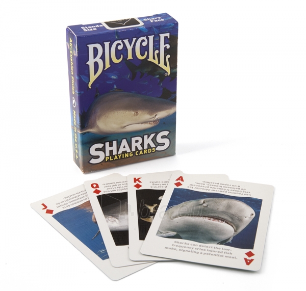Bicycle Sharks kortos paveikslėlis 6 iš 9