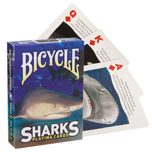 Bicycle Sharks kortos paveikslėlis 8 iš 9