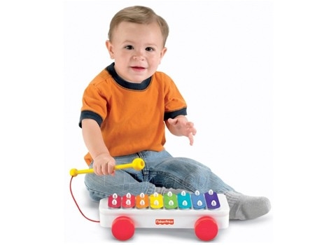 Lavinamasis rinkinys Pirmieji kūdikių žaislai Fisher Price BLT46 MATTEL paveikslėlis 4 iš 6