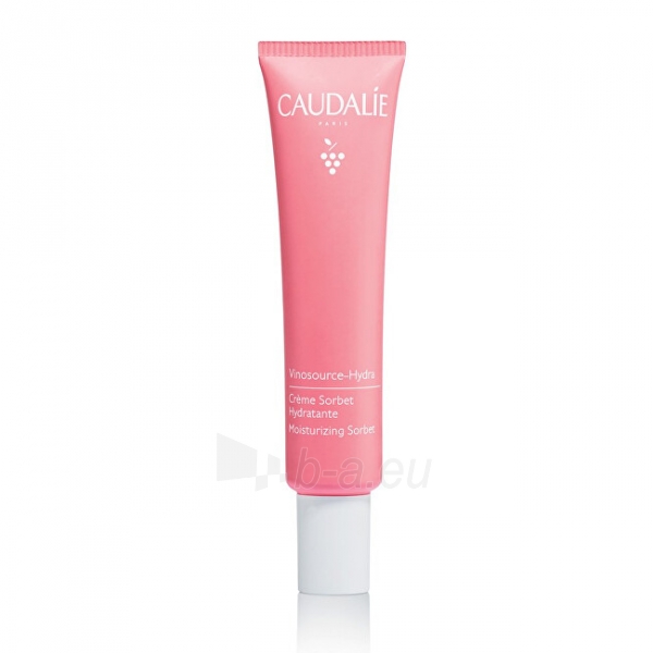 Caudalie Moisturizing Cream Sorbet for Sensitive Skin Vinosource -Hydra (Moisturizing Sorbet) 40 ml paveikslėlis 1 iš 1