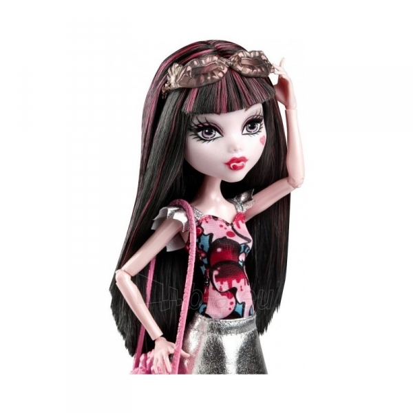 CHW55 / CHW57 lėlė Monster High, Mattel paveikslėlis 2 iš 4