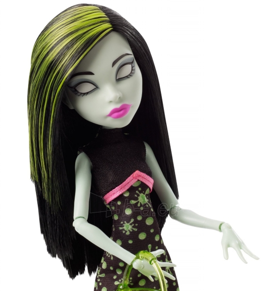 CHW73 / CHW69 lėlė Monster High Ghoul Fair Scarah Screams Doll paveikslėlis 1 iš 6