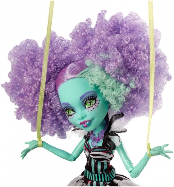 CHX93 / CHY01 lėlė Monster High, Mattel paveikslėlis 3 iš 4