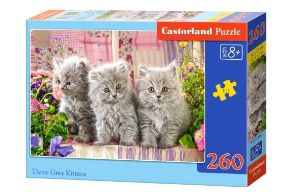 Dėlionė Castorland Three Grey Kittens, 260 dalių paveikslėlis 1 iš 1