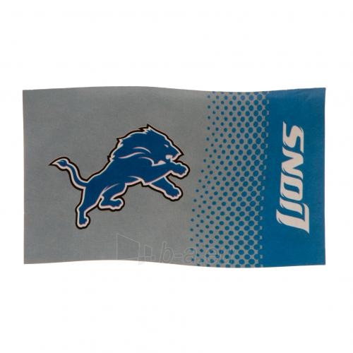 Detroit Lions vėliava paveikslėlis 1 iš 4