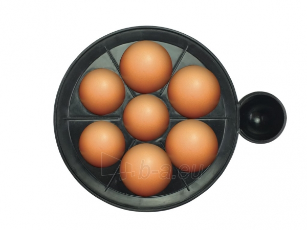 Elektrinė kiaušinių viryklė Beper BC.125 paveikslėlis 3 iš 4