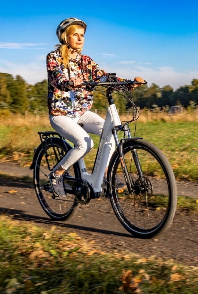 Elektrinis dviratis Ecobike LX 300 28 48V-10.Ah paveikslėlis 11 iš 15