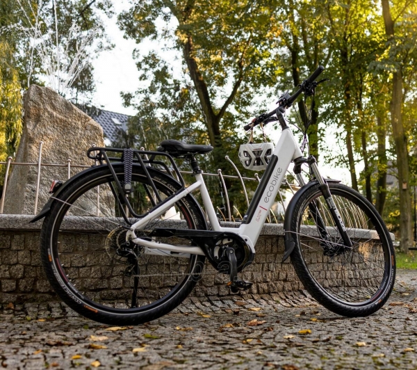 Elektrinis dviratis Ecobike LX 300 28 48V-10.Ah paveikslėlis 10 iš 15