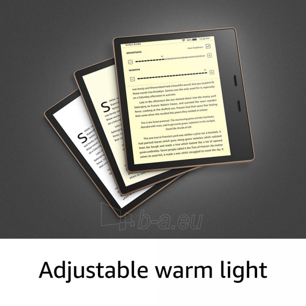 Elektroninė skaityklė Amazon Kindle Oasis 10th Gen 32GB Wi-Fi graphite paveikslėlis 8 iš 10