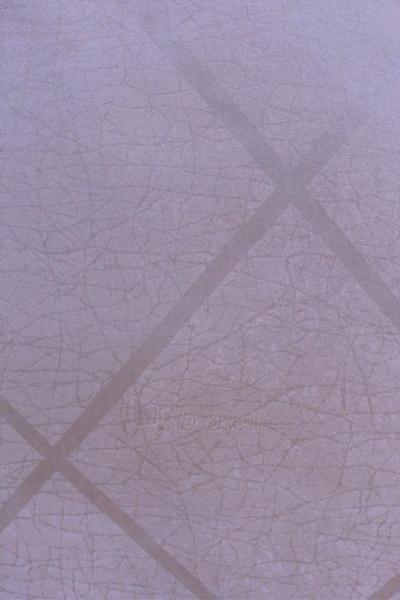 ER 19050 ERA, 10,05x0,53m, balti kvadratais wallpaper, Metyl. Vlies paveikslėlis 1 iš 1