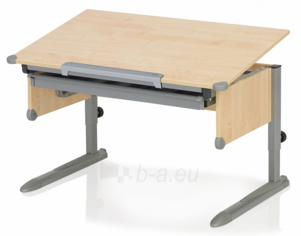 Ergonomiškas rašomasis stalas reguliuojamo aukščio Kettler COLLEGE BOX II paveikslėlis 1 iš 1