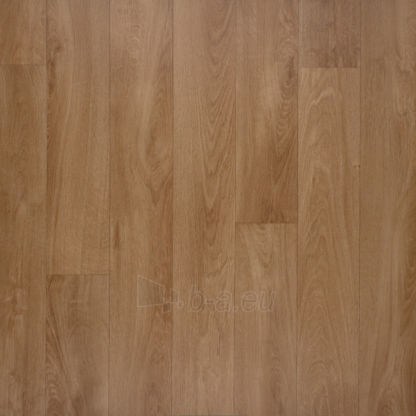 ESSENTIALS 220T - French Oak/Light Natural 5659011, 4 m PVC grindų danga paveikslėlis 1 iš 1
