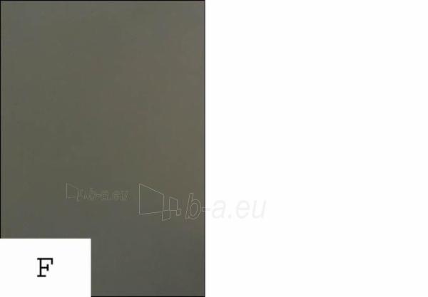 Fanera laminuota 1250x2500x9 F/F I pilka (3.125 m2) paveikslėlis 2 iš 2