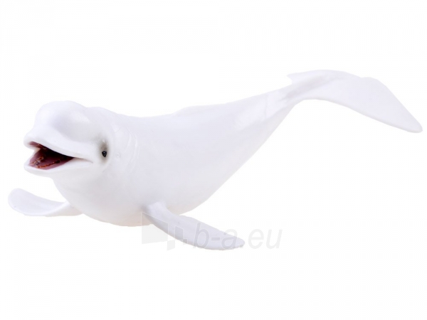 Figūrėlė “Baltasis delfinas” paveikslėlis 3 iš 3