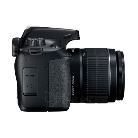 Fotoaparatas Canon EOS 4000D EF-S 18-55 III kit paveikslėlis 6 iš 6