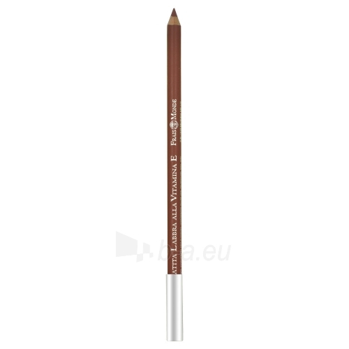 Frais Monde Lip Pencil Vitamin E Cosmetic 1,4g Nr.21 paveikslėlis 1 iš 1