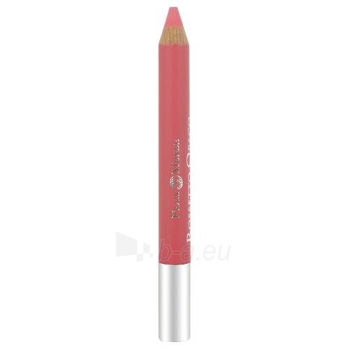 Frais Monde Matte Lip Pencil Cosmetic 1,4g Nr.12 paveikslėlis 1 iš 1