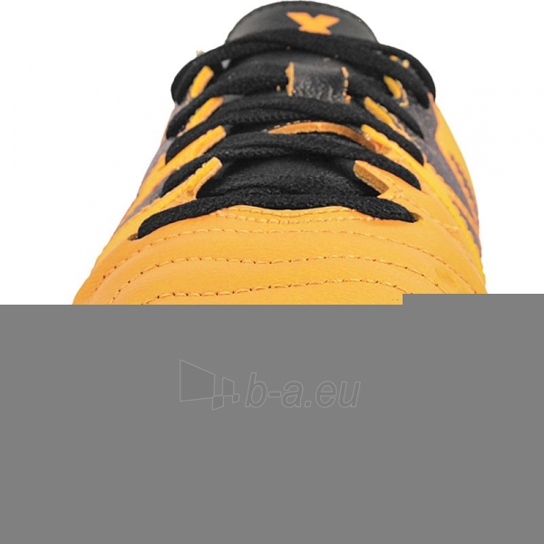 Futbolo bateliai adidas X 15.3 FG/AG Leather Jr paveikslėlis 2 iš 3