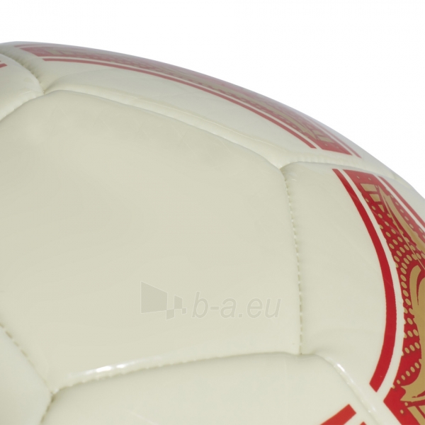 Futbolo kamuolys adidas Conext 19 CPT DN8640 paveikslėlis 5 iš 5