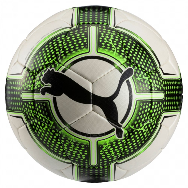 Futbolo kamuolys PUMA EVOPOWER 5.5 paveikslėlis 1 iš 1
