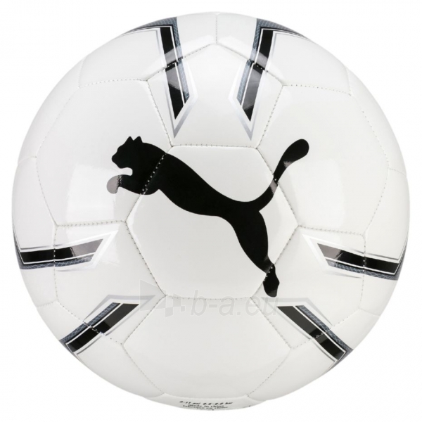 Futbolo kamuolys Puma Pro Training 2 MS 082819 01 paveikslėlis 1 iš 1