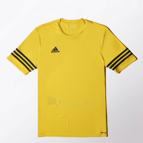 Futbolo marškinėliai adidas Entrada 14 M F50484 paveikslėlis 1 iš 3