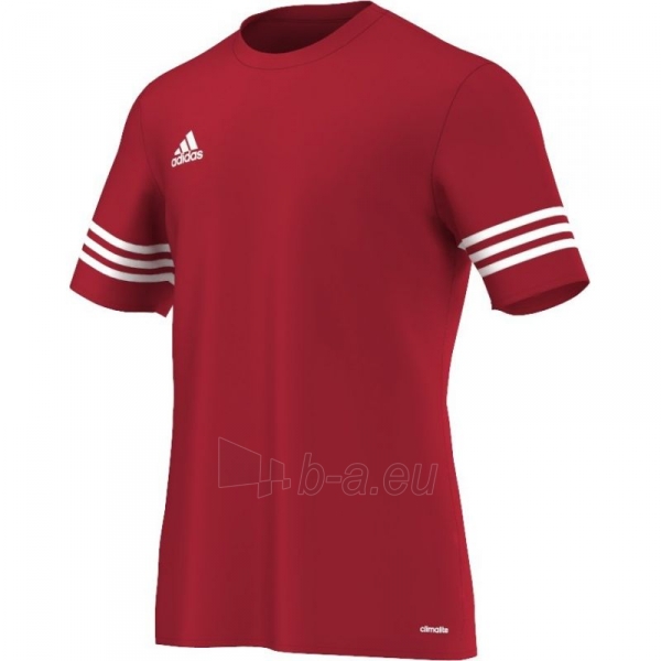 Futbolo marškinėliai adidas Entrada 14 raudona paveikslėlis 1 iš 2