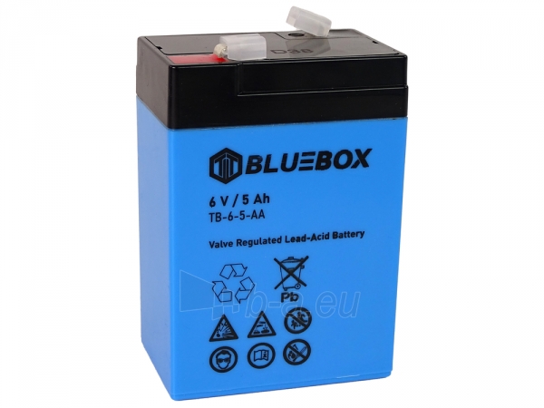 Gelinis akumuliatorius BlueBox VRLA AGM 6V 5Ah paveikslėlis 1 iš 1
