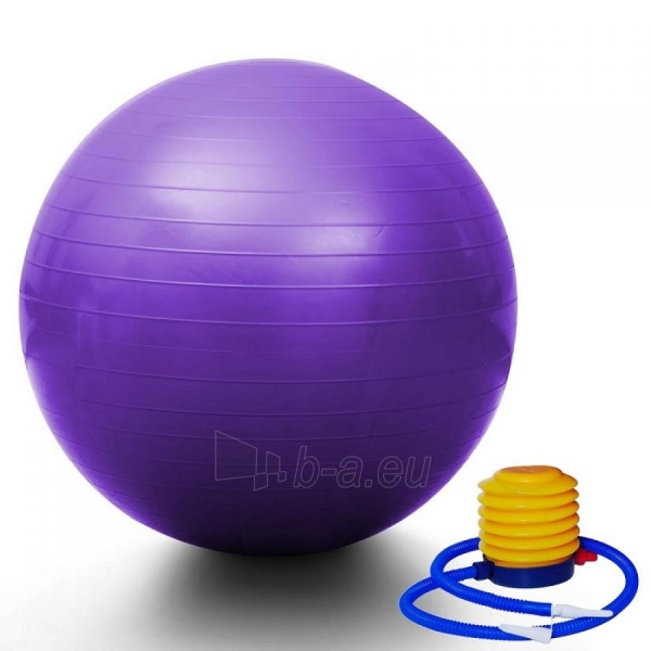 Gimnastikos kamuolys 55cm (Fitball fitnesam) paveikslėlis 5 iš 5