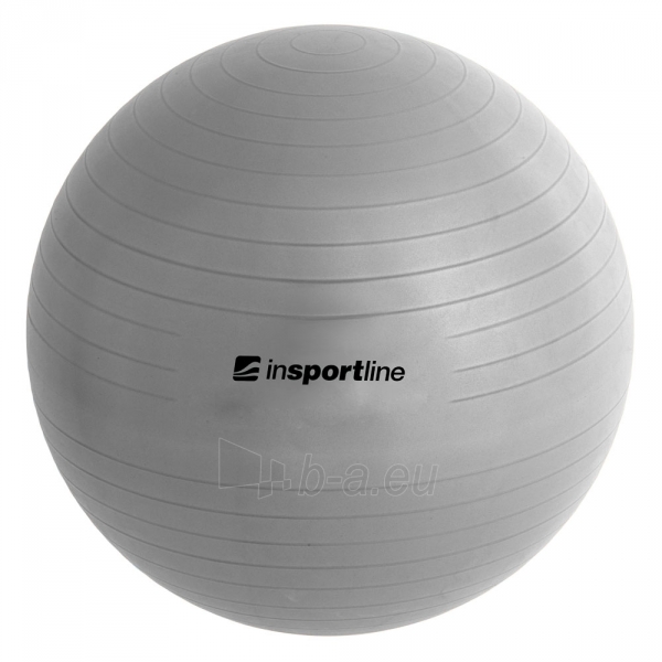 Gimnastikos kamuolys inSPORTline Top Ball 45 cm pilkas paveikslėlis 2 iš 9