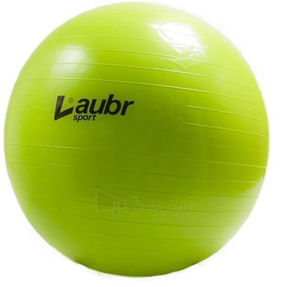 Gimnastikos kamuolys LAUBR Sport, 75 cm, su pompa paveikslėlis 1 iš 1