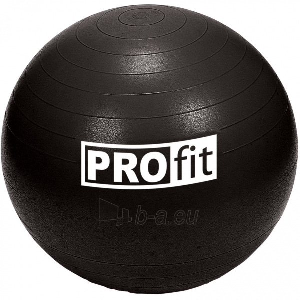 Gimnastikos kamuolys Profit 45cm su pompa DK 2102 paveikslėlis 1 iš 2