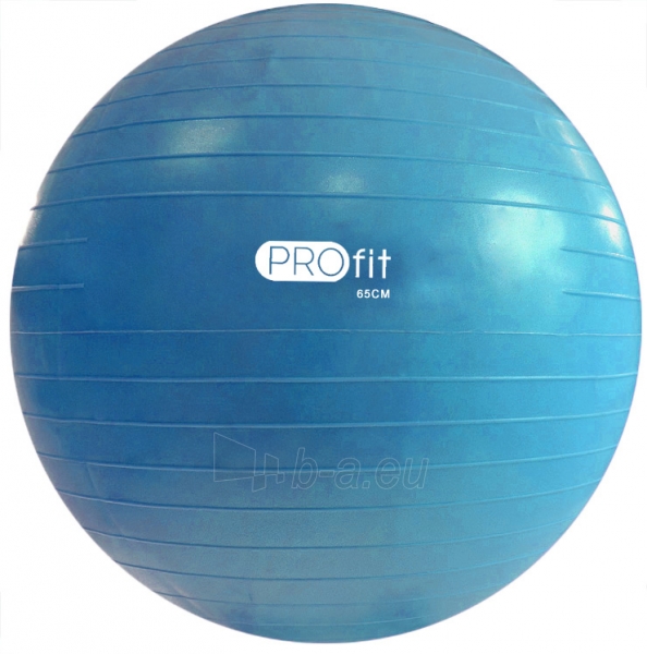 Gimnastikos kamuolys Profit 65 cm su pompa DK 2102 paveikslėlis 1 iš 2