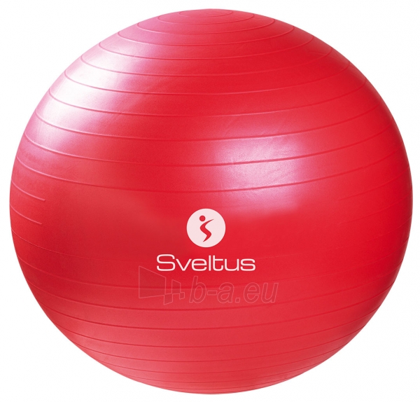 Gimnastikos kamuolys Sveltus 65cm red paveikslėlis 1 iš 1