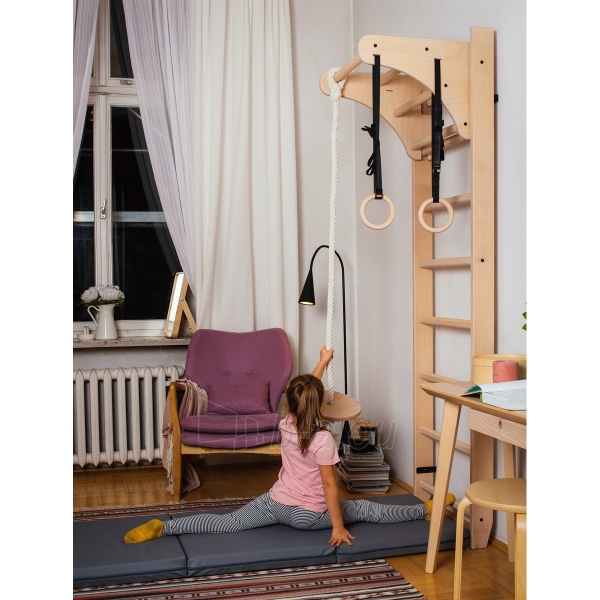 Gimnastikos kopėčios su priedais - BenchK 112 paveikslėlis 3 iš 13