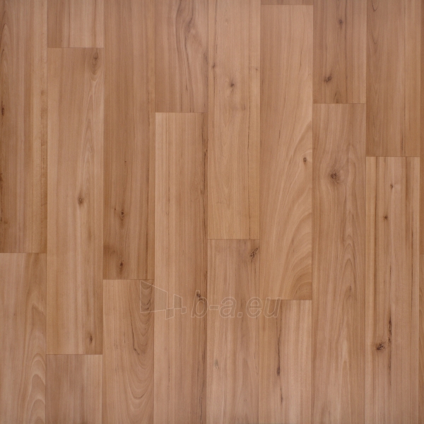  Floor covering  PVC B.I.G  26M BARTOLI PEARWOOD, 3 m  paveikslėlis 1 iš 1
