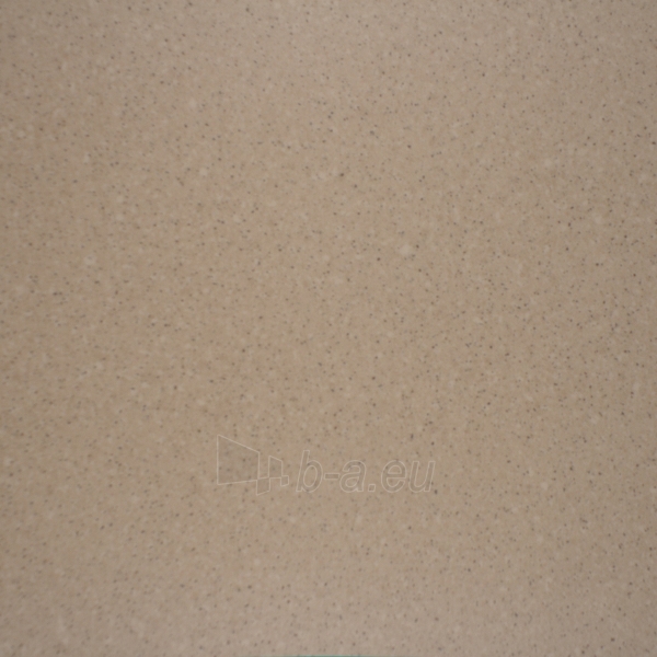 Grindų danga PVC B.I.G.7469 STRONG, 3 m  paveikslėlis 1 iš 1