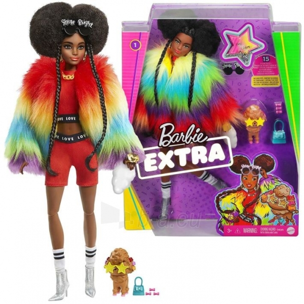GVR04 / GRN27 Mattel Barbie Extra Doll Rainbow Coat With Poodle paveikslėlis 4 iš 6