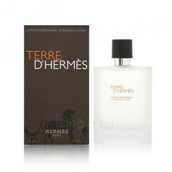 Hermes Terre D´ Hermes - aftershave water - 50 ml paveikslėlis 1 iš 1