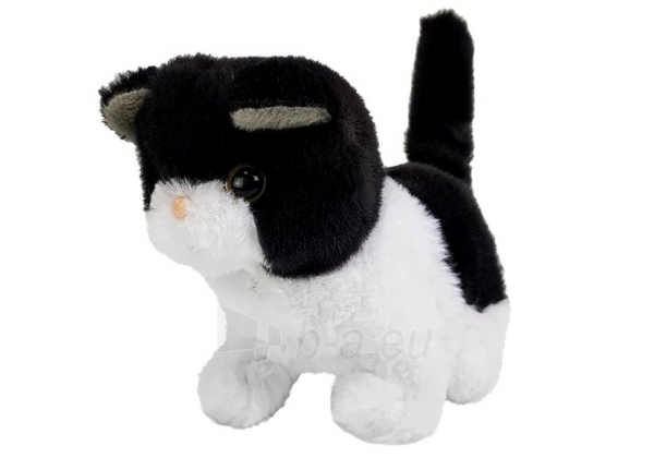 Interaktyvus žaislas kačiukas, juodai baltas paveikslėlis 3 iš 5