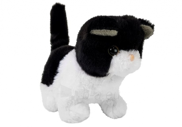 Interaktyvus žaislas kačiukas, juodai baltas paveikslėlis 5 iš 5