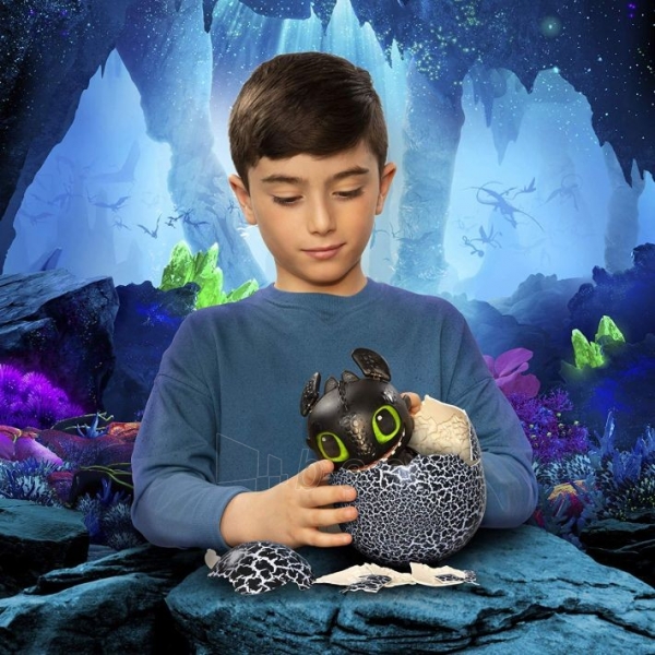 Interaktyvus žaislas 6046183 Dreamworks Dragons Hatching Toothless Interactive Baby Dragon with Sounds paveikslėlis 4 iš 6