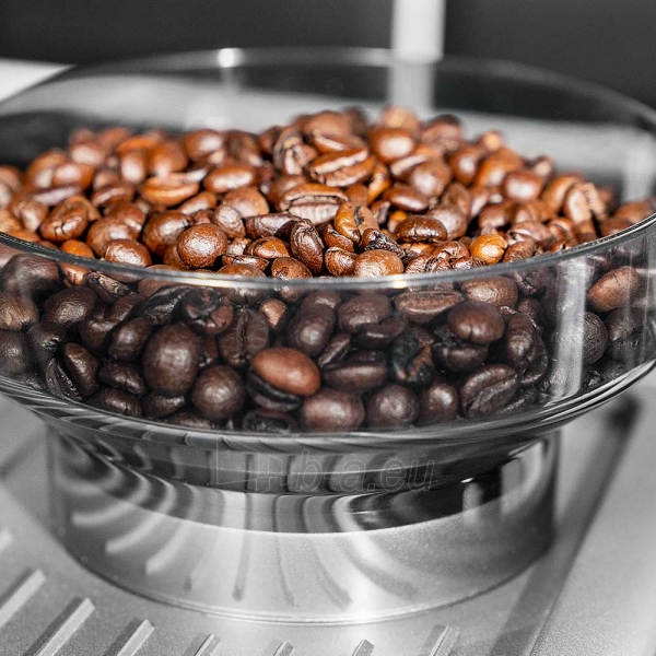 Coffee maker Gastroback Design Espresso Advanced Barista 42619 paveikslėlis 8 iš 10