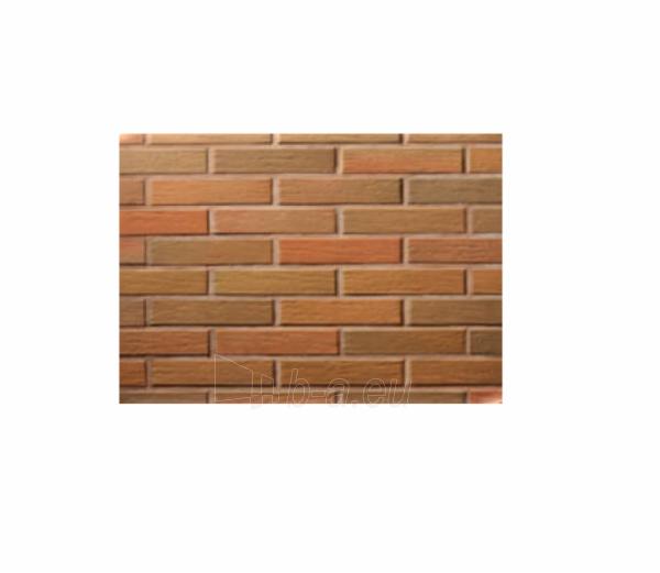 Perforated facing bricks 'Brunis' 11.201400L paveikslėlis 1 iš 1