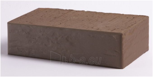 Solid facing bricks Vecais Brunis 12.202100L paveikslėlis 2 iš 2