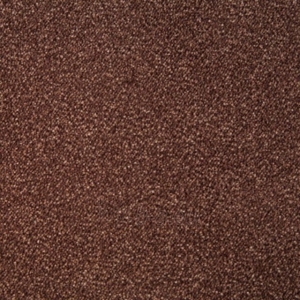 Ковровое покрытие Balta Oudennarde NEPTUNUS 805, темно-коричневый 4m paveikslėlis 1 iš 1