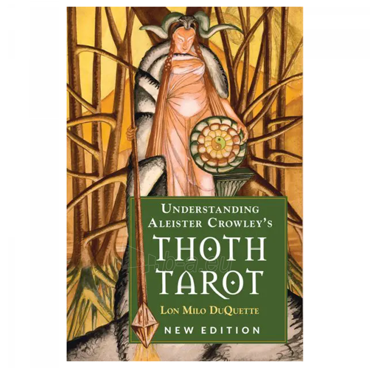 Knyga Understanding Aleister Crowley Thoth Tarot Weiser Books paveikslėlis 3 iš 3