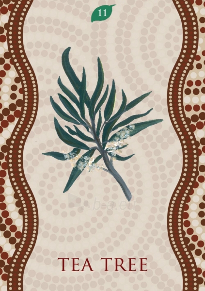 Kortos Aboriginal Healing Oracle paveikslėlis 5 iš 7