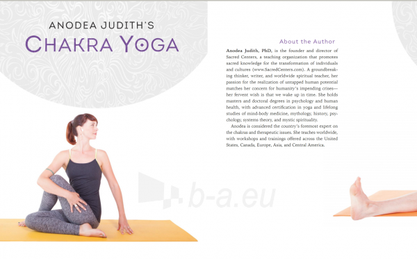 Kortos Anodea Judiths Chakra Yoga knyga Llewellyn paveikslėlis 5 iš 5